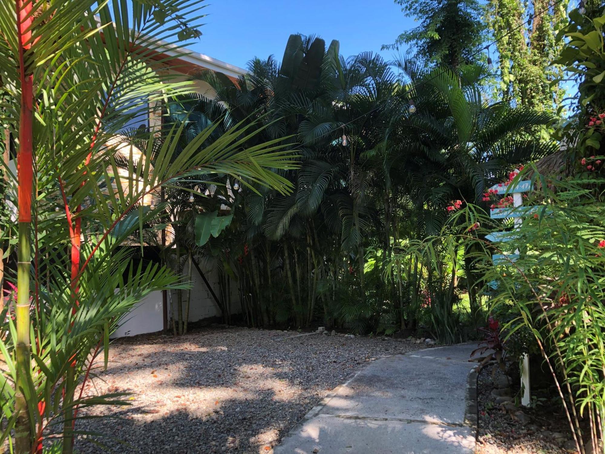 Casa Ana Kimba Villa Puerto Viejo de Talamanca Exterior photo