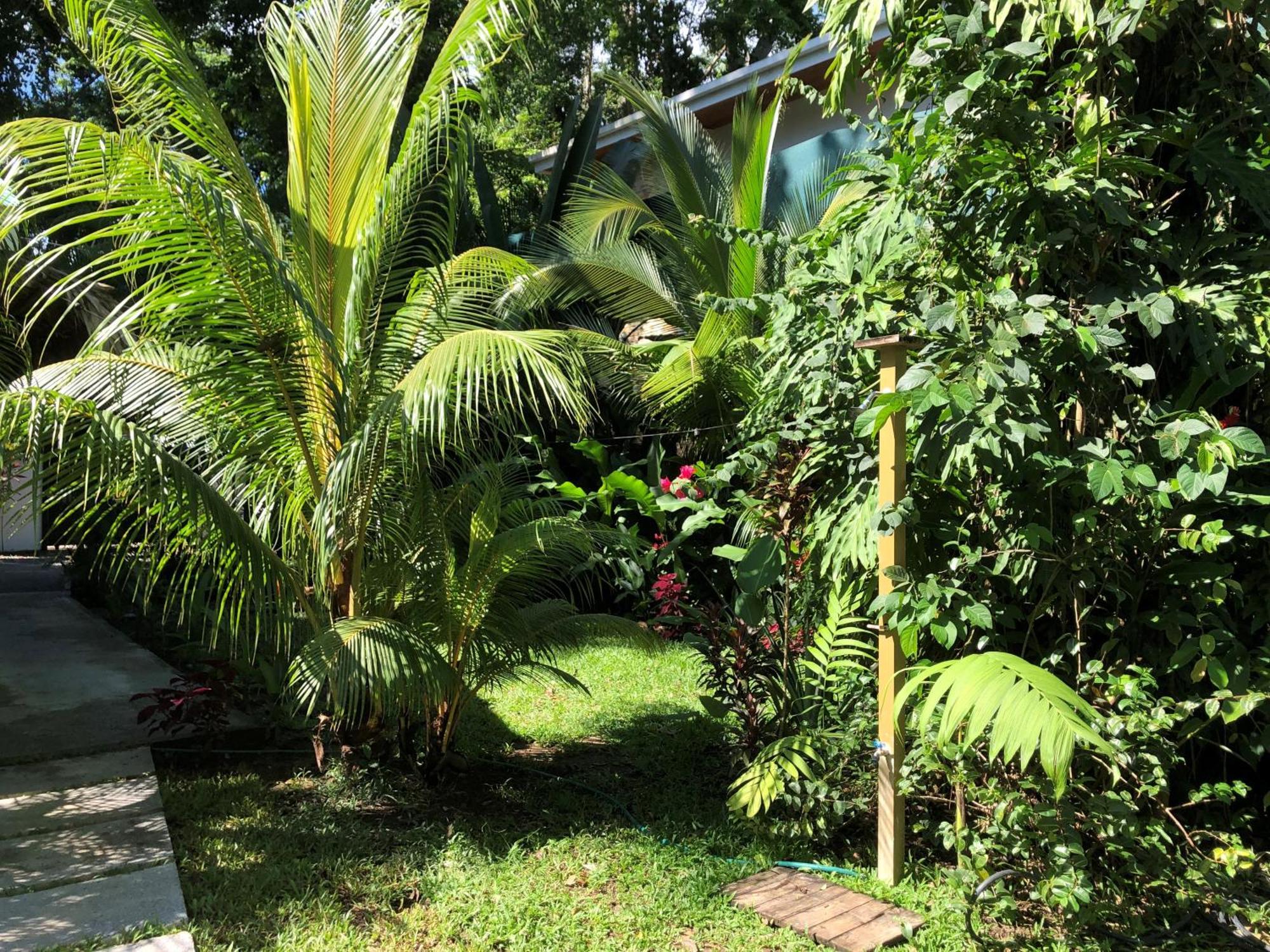 Casa Ana Kimba Villa Puerto Viejo de Talamanca Exterior photo