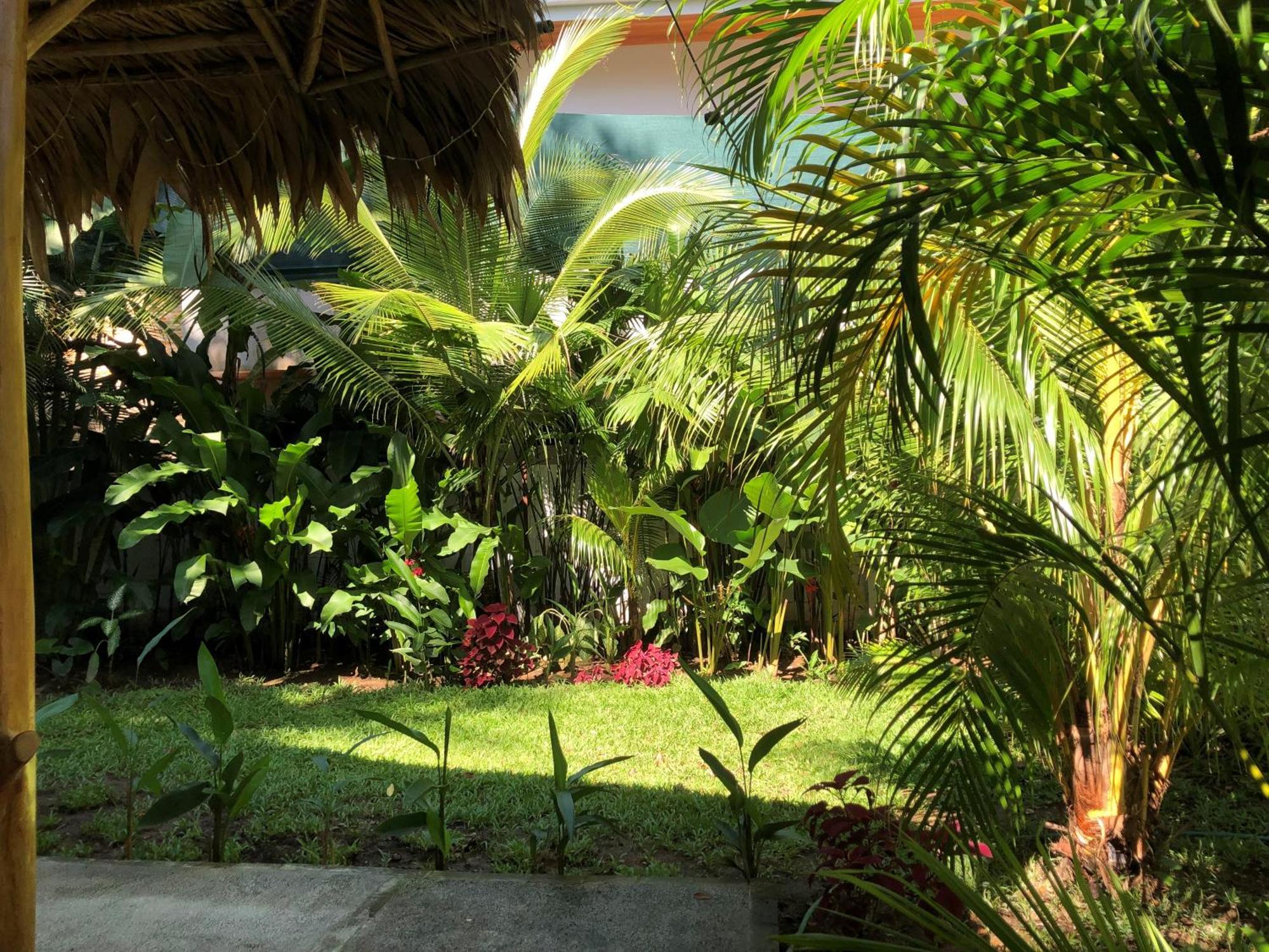 Casa Ana Kimba Villa Puerto Viejo de Talamanca Exterior photo